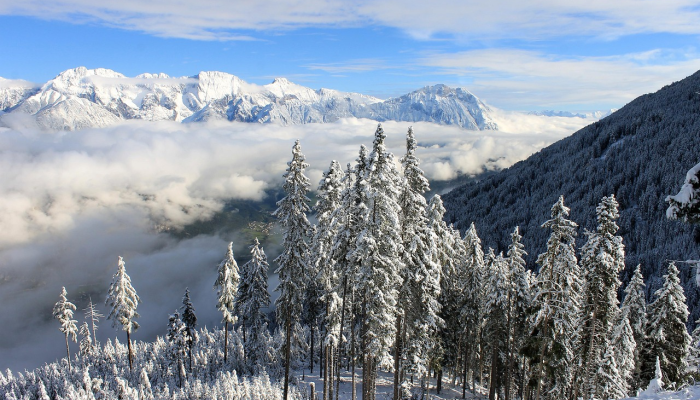 崔涯袖中三尺铁，春来深谷雪方消是什么生肖，精准解答解释