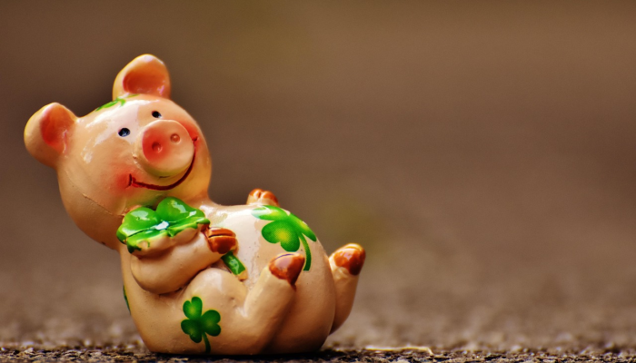 故态复萌是什么生肖打一生物权威揭晓 故态复萌是什么生肖打一生物权威揭晓