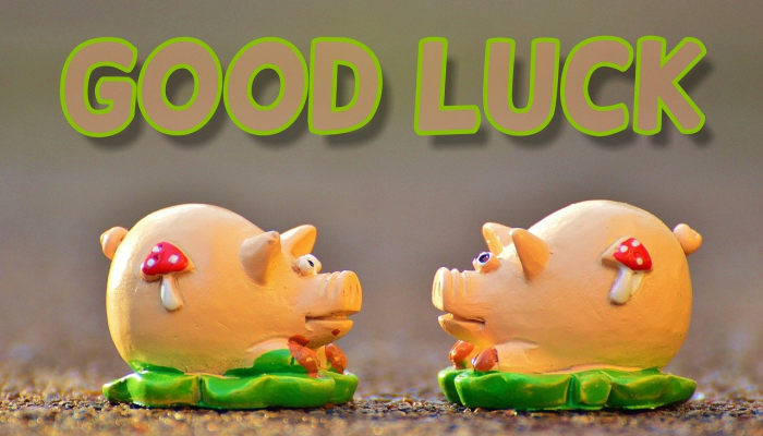 青鸟使者打一生肖是什么动物,经典解析解答 青鸟使者打一生肖是什么动物,经典解析解答