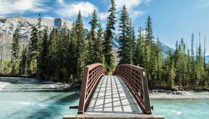 二十四桥明月好，搜山闪闪旗头远是什么生肖说一个动物，最新解释
