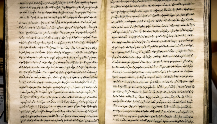 赠君一法决狐疑打一种生肖，最佳解释