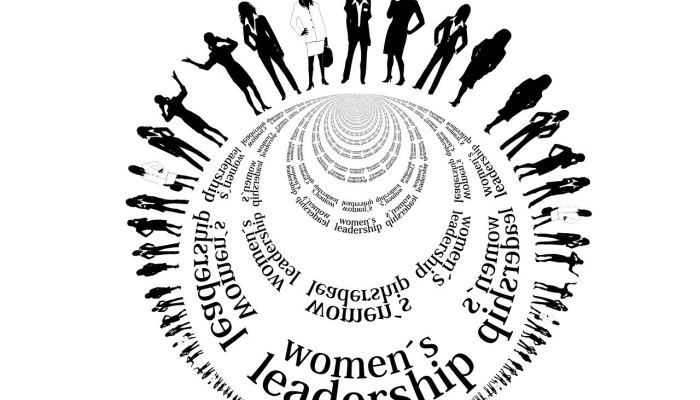 二八携手进皇宫是什么生肖，权威解释在此落实