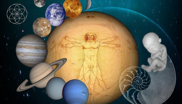 松鼠指什么生肖，解答科学