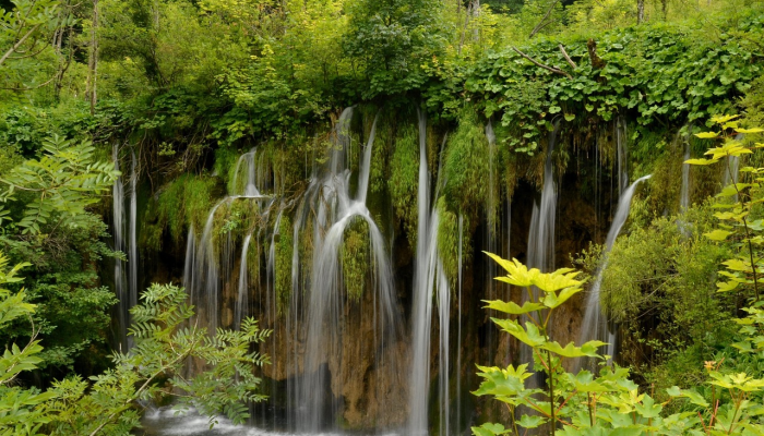 山色反青打一个生肖，经典解析