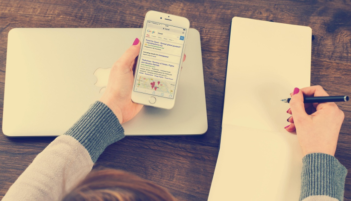 观望打一个正确的生肖，标准答案解答