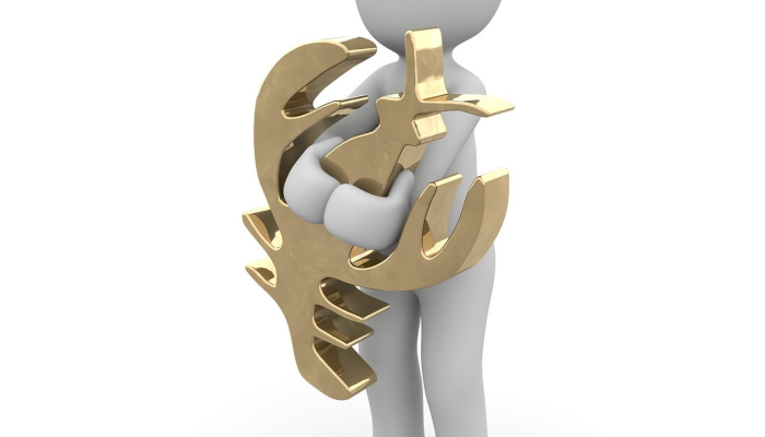 观望打一个生肖，详细解析解释