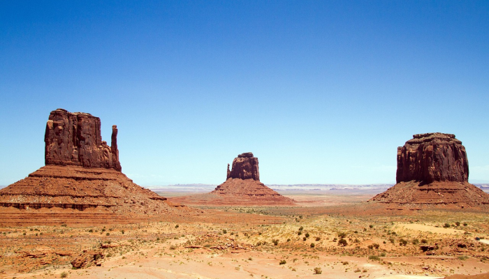 东征西讨是什么生肖，最新全面解释