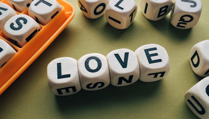 自我陶醉是什么生肖，解析解答