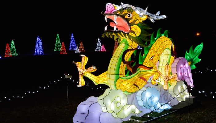 龙争虎斗是什么生肖生肖，作答解释