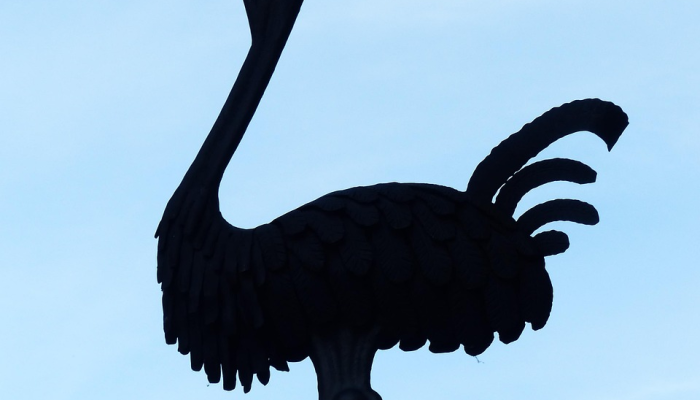 玉毁椟中打一个生肖是什么动物，重点诠释解释