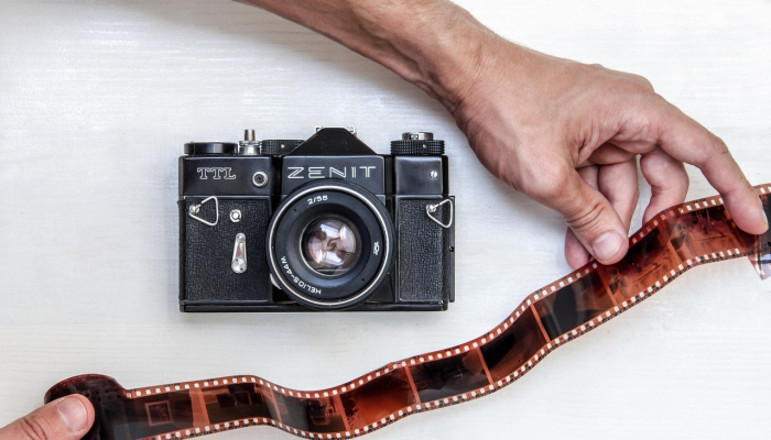 杯弓蛇影是什么生肖,专业解析 杯弓蛇影是什么生肖,专业解析