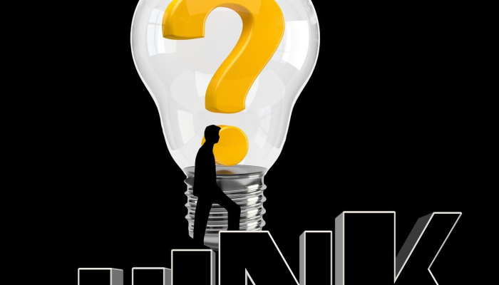 观望是什么生肖，权威解答