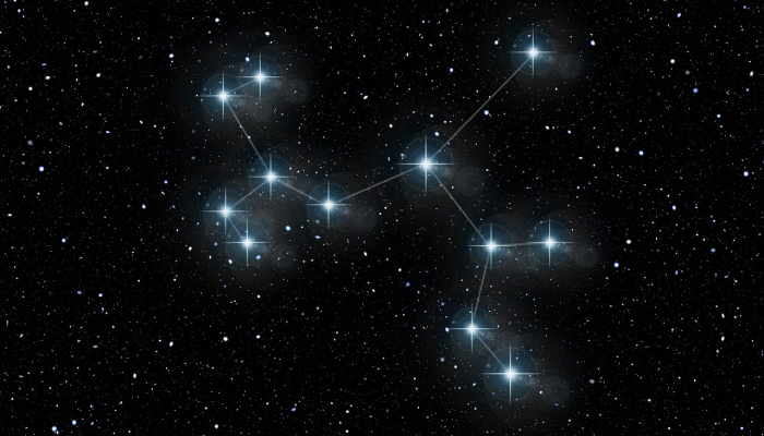 由来富贵三更梦代表什么生肖，权威解释说明