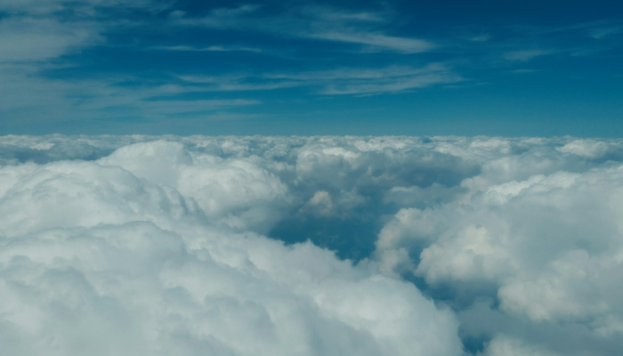 蓝色天空白云飘打一个生肖代表什么动物生肖，答案解释