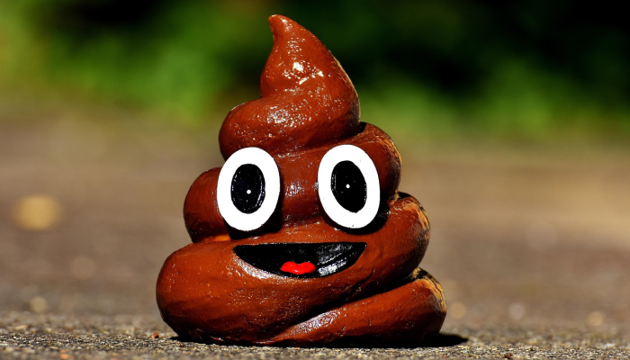 小绵羊打一生肖，原创解析解答落实