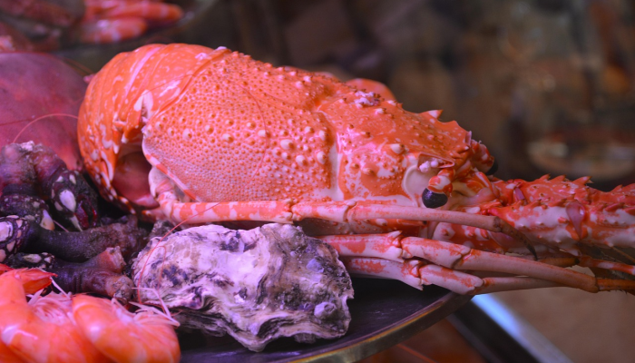 麻辣小龙虾，黑虎虾打一个生肖，核心要点解析