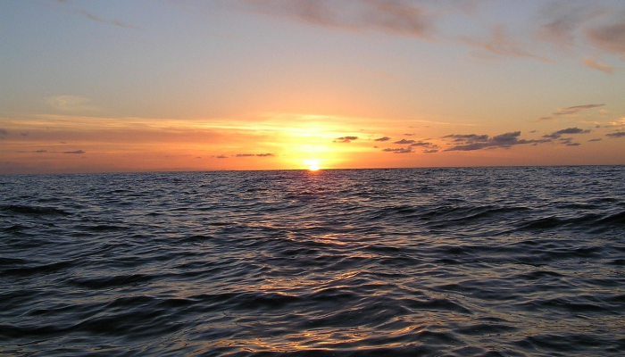 日出浮天,山耸地上,天地连成一气打一生肖,原创解答落实 日出浮天,山耸地上,天地连成一气打一生肖,原创解答落实