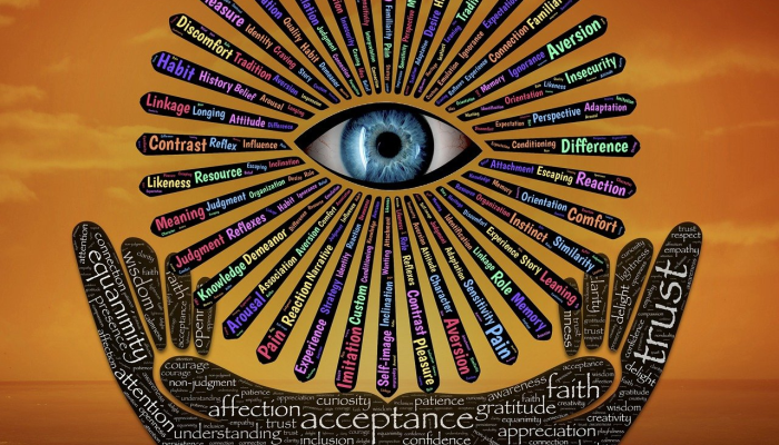 行远自迩是什么生肖，精准落实