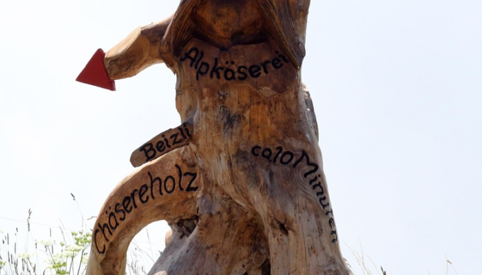 削株掘根是什么生肖,最新全面解释 削株掘根是什么生肖,最新全面解释