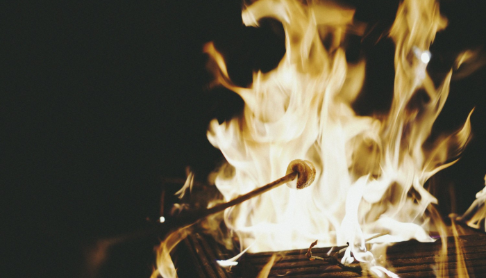 结婚庙会皆喜庆打一个生肖，答案解答解析