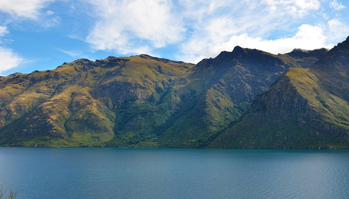 山清水秀是什么生肖，全面解释