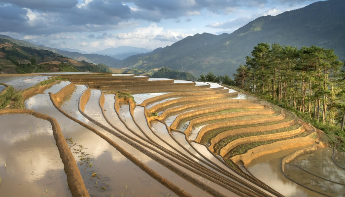 玉河别后出西山代表什么生肖，词语解释释义