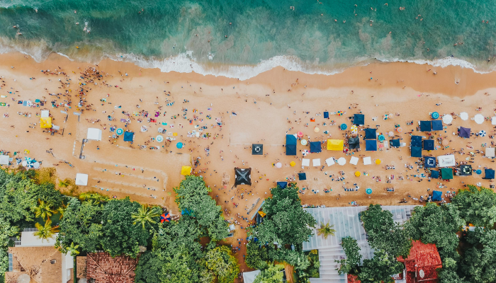 十七十八正少年,山林无虎是老大打一个正确的生肖,独家视角解答 十七十八正少年,山林无虎是老大打一个正确的生肖,独家视角解答