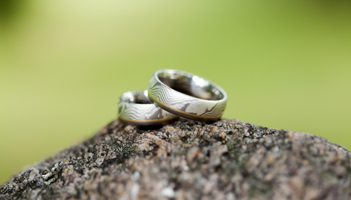 龙头鸡尾独雁飞，仙女回家各已归打一个正确生肖，独家视角解答