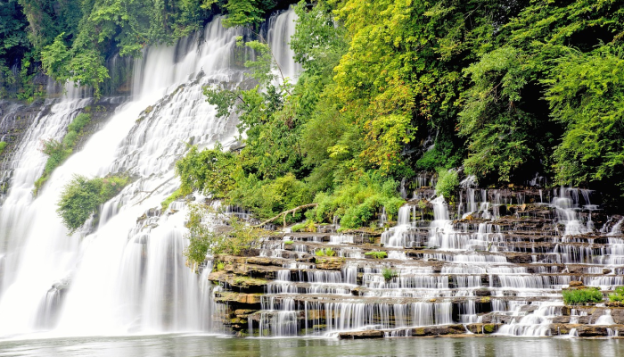 七嘴八舌打一个正确的生肖,答案立刻揭晓 七嘴八舌打一个正确的生肖,答案立刻揭晓