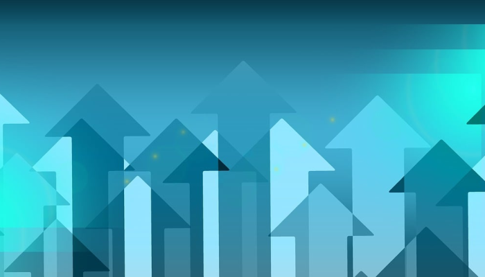 莫怕经济暂放缓是什么生肖，刚刚解释