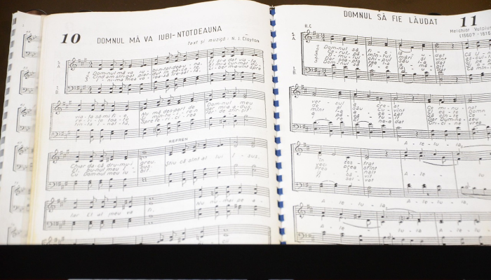 滔滔不绝是什么生肖，词语解释释义