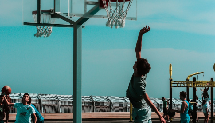 只有开枝，并无散叶。冰壶总忆人如玉打一个正确的生肖，重点解释