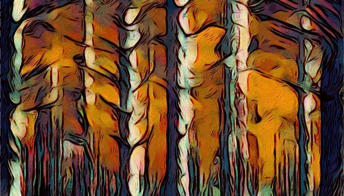 金鸟赦书鸣九夜打一个正确的生肖,深度解析来了 金鸟赦书鸣九夜打一个正确的生肖,深度解析来了