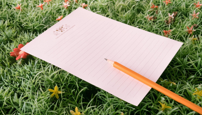 绿锁窗纱梧叶底是什么生肖，最新全面解释