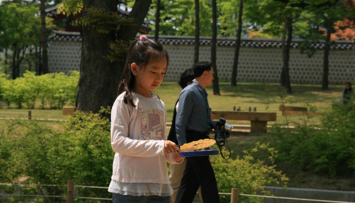 穿廉海燕双飞去指什么生肖,最新揭晓解释 穿廉海燕双飞去指什么生肖,最新揭晓解释
