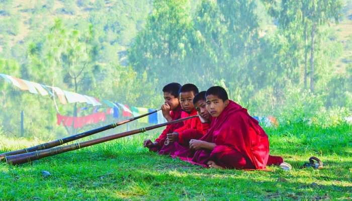 十七十八正少年，山林无虎是老大打一个生肖，马上揭晓落实