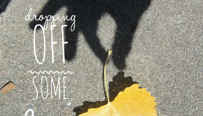 纵容就位,捕风捉影。吐成秋茧不用缲打一个生肖,独家视角解读解析 纵容就位,捕风捉影。吐成秋茧不用缲打一个生肖,独家视角解读解析