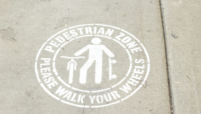 无影无踪打一个生肖是啥动物,词语解答解析 无影无踪打一个生肖是啥动物,词语解答解析