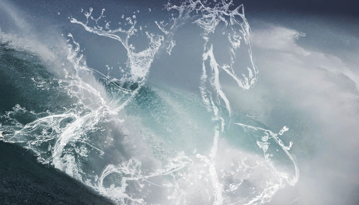 景龙灯火升平世打一动物生肖说的是什么动物,深度解析全过程 景龙灯火升平世打一动物生肖说的是什么动物,深度解析全过程