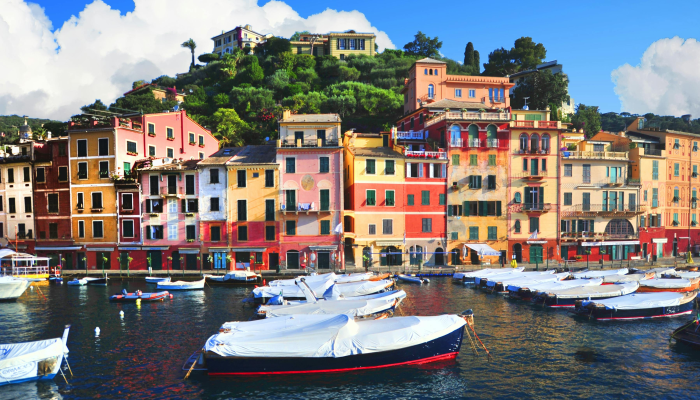 五彩缤纷满村庄是什么生肖，精准解释