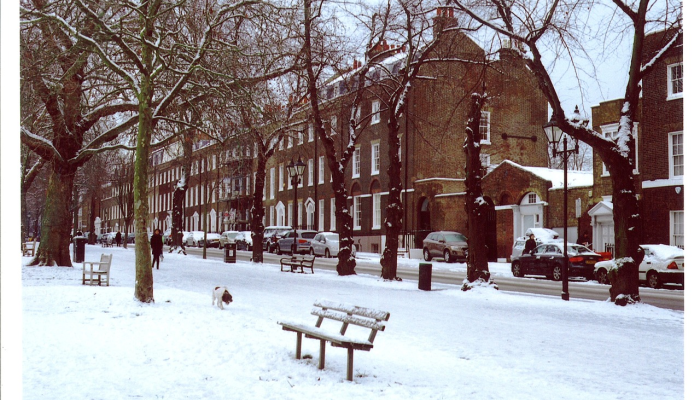 极目南云无过雁,长安雪后似春归打一生肖,答案解释 极目南云无过雁,长安雪后似春归打一生肖,答案解释