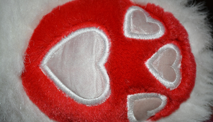 绣花枕头打一生肖,揭秘解读 绣花枕头打一生肖,揭秘解读