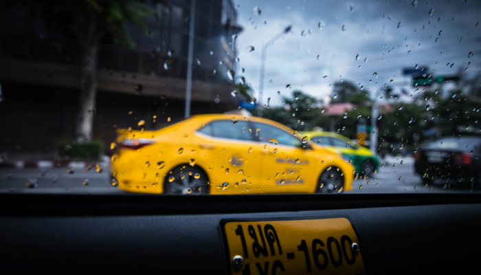 轿车牌照如联邦是什么生肖打一个动物生肖，仔细诠释解释落实