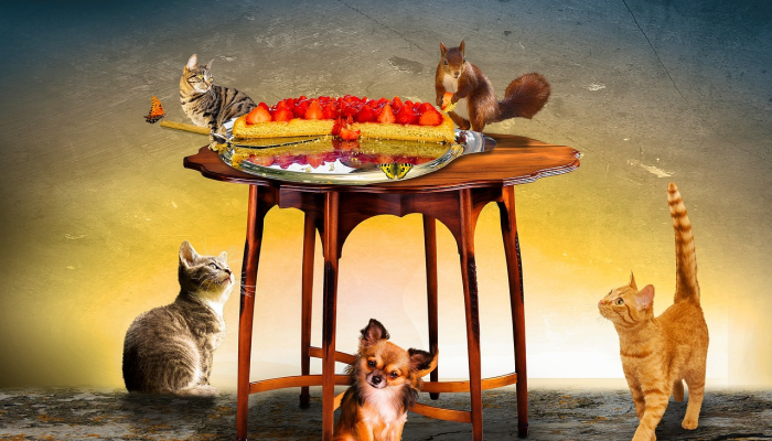 春天降临打一个生肖是什么动物,最新解析揭晓 春天降临打一个生肖是什么动物,最新解析揭晓