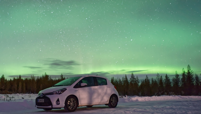 极目南云无过雁，长安雪后似春归指什么生肖，最新解析解释落实