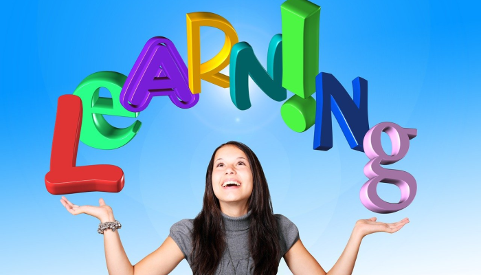 西游记代表指什么生肖,第一解答解读落实 西游记代表指什么生肖,第一解答解读落实