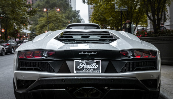 轿车牌照如联邦是什么生肖打一个生肖动物，词语解释解答