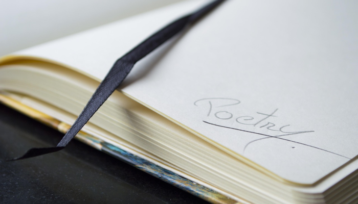 归心如飞是什么生肖，答案解释