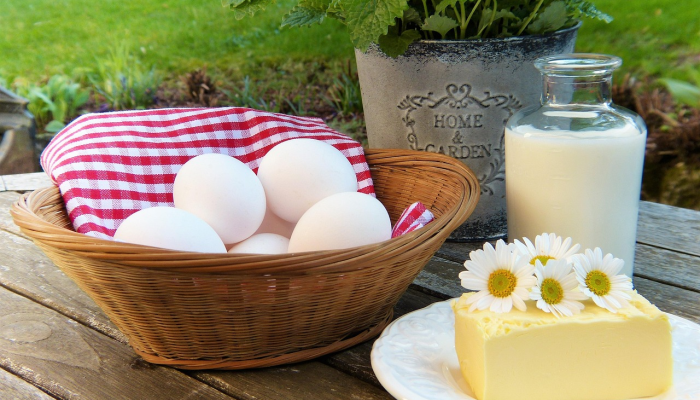 早上好，来点早餐的例牌是什么生肖是啥动物，详细解释说明落实