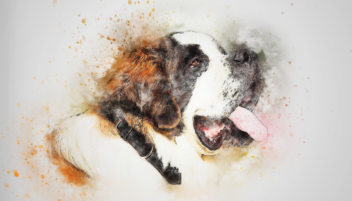 威风凛凛打一个生肖动物,经典资询解释 威风凛凛打一个生肖动物,经典资询解释